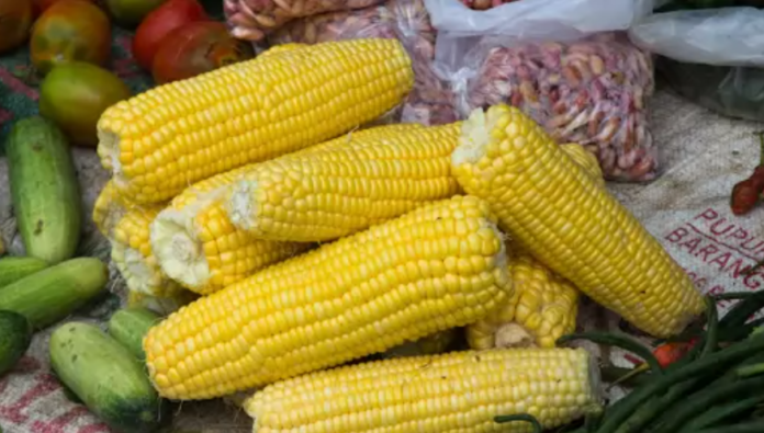 Y