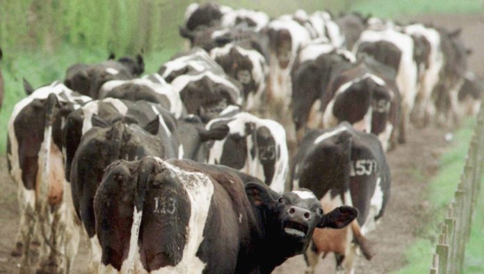1539862803_107335_1539864771_noticia_normal_recorte1
