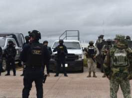 Blindan ‘zonas calientes’ de la sierra norte de México: Van contra el CJNG y Cártel de Sinaloa